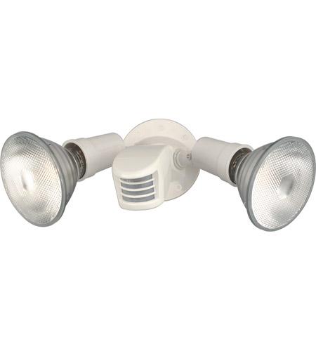 Motion Sensor / Security Light