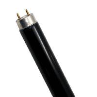 Black Light - Fluorescent