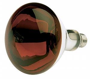 Infrared / Heat Lamp 