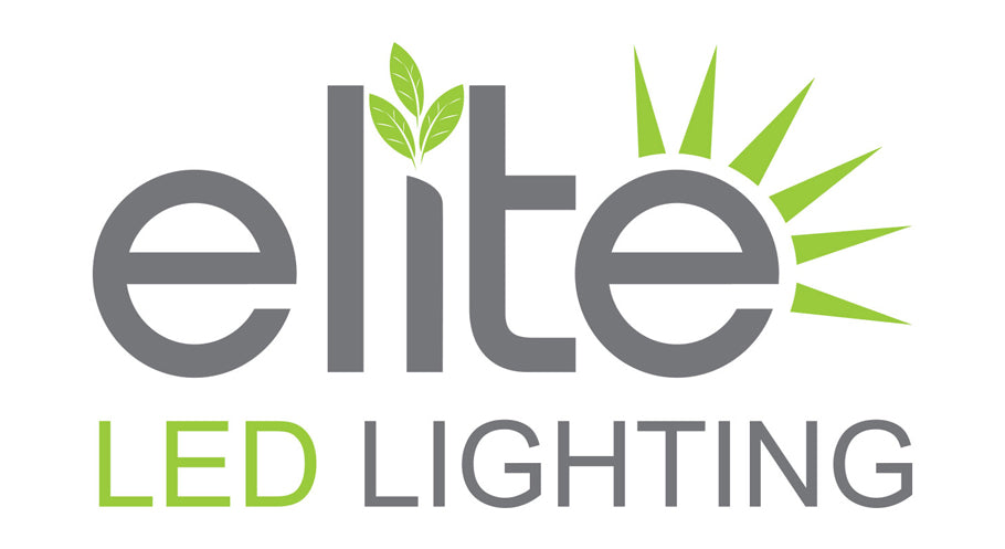 files/Elite_Lighting.jpg
