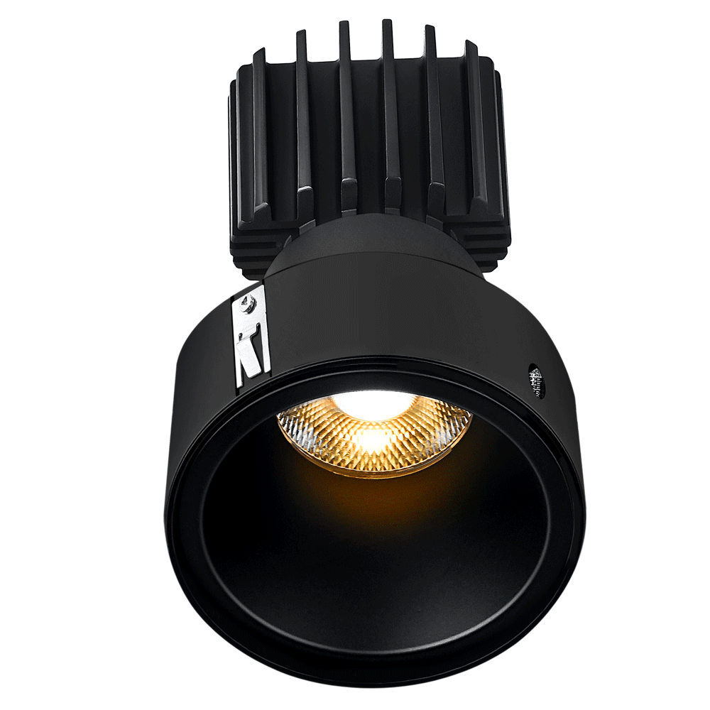 Tangra 3" Fixed Round Deep Regressed Invisible Flangeless Black Trim Lens Black 50° 30K CRI95 with 120-347V 0-10V Dimmable Residential Driver