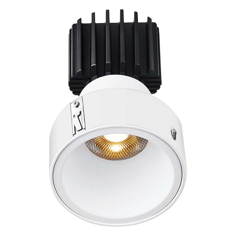 Tangra 3" Fixed Round Deep Regressed Invisible Flangeless White Trim Lens White 50° 30K CRI95 with 120V Residential Driver