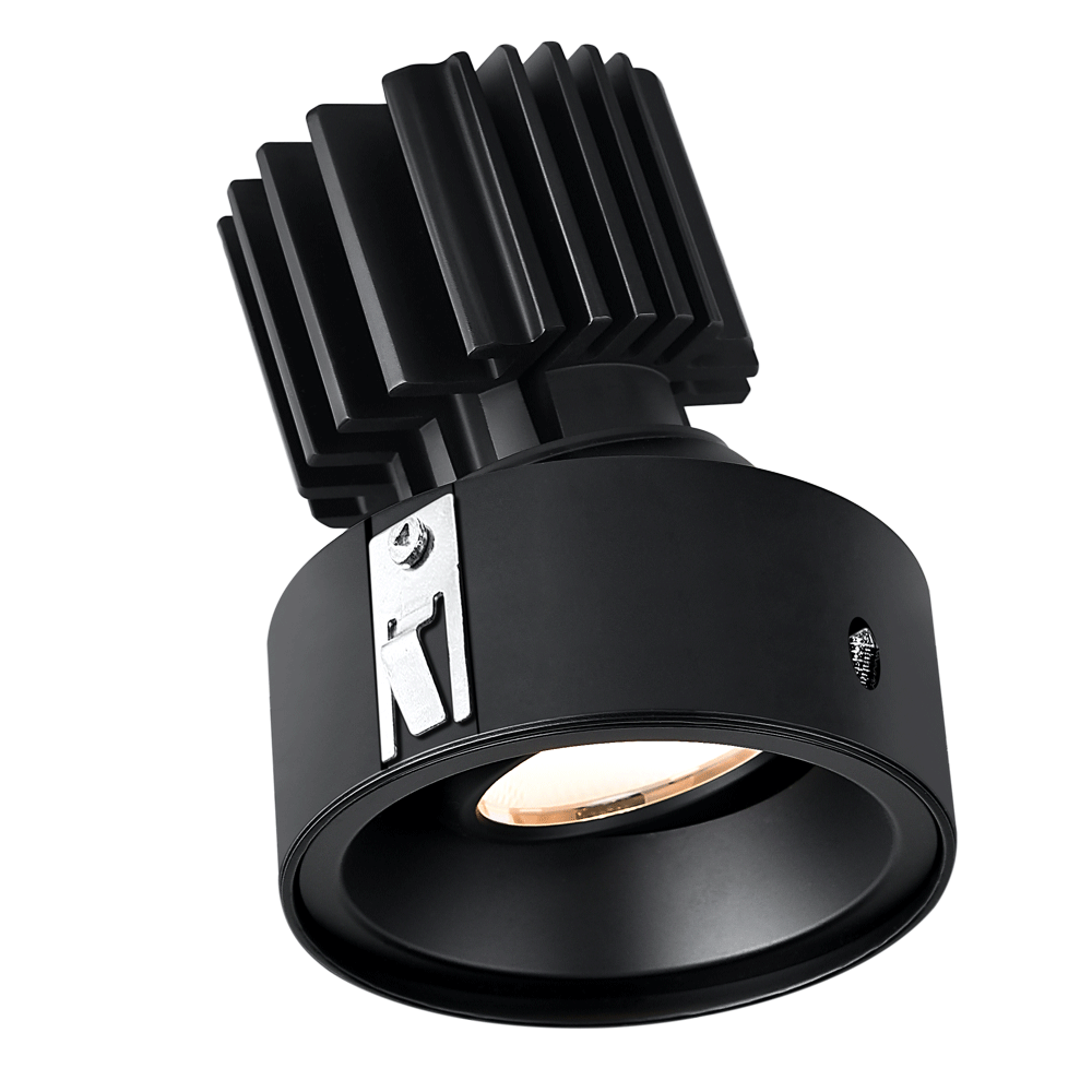 Tangra 3" Gimbal Round Recessed Invisible Flangeless Black Trim Reflector Frosted glass 50° 5CCT CRI98 with 120V Commercial Driver