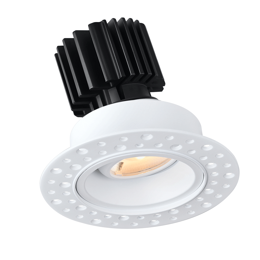Tangra 3" Gimbal Round Recessed Invisible White Trim Reflector Clear glass 20° 30K CRI95 with 120V Commercial Driver