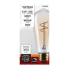 SATCO S14206 3.5W ST19 LED Edison Bulb | 2000K Soft White | E26 Medium Base | Dimmable Clear Glass