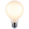 SATCO S21247 LED A19 Light Bulbs, 6W 2700K Warm White, 120V, 2-Pack