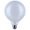 SATCO S21256 - 6W G40 LED Bulb - E26 3000K 500L 120V - White