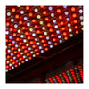 Satco S9163 1.2W S11 LED Sign Bulb, Ceramic Green, E26, 120V