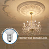 TCP LED5E12B1130K
