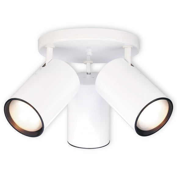 NUVO Lighting SF76/422 Fixtures Ceiling Mounted-Flush