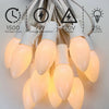 Incandescent - C9 Night Light - 7 Watt - 25 Lumens  - Warm White - 2700 Kelvin