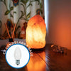 Satco S9157 LED Miniature C7