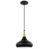 Satco 60/7511 Phoenix - 1 Light - Small Pendant - Matte Black with Burnished Brass