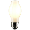 SATCO BT15 bulb illuminated