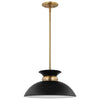 Satco 60/7460 Perkins - 1 Light - Small Pendant - Matte Black with Burnished Brass