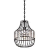 Westinghouse 6106300 One Light Pendant Matte Black Finish Crystal Prism Cage Shade