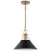 Satco 60/7523 Outpost - 1 Light - Medium Pendant - Matte Black with Burnished Brass