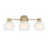 Westinghouse 6127700 Dorney 3 Light Wall Fixture, Champagne Brass Finish