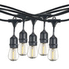 Bulbrite 812483 String Light - Black - Bulbs Included: 1W S14 Clear LED (15pcs) 2700K - E26 Base - 120V