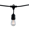 Bulbrite 812312 String Light - Black - Bulbs Included:11W S14 Clear Incandescent (12pcs) 2700K - E26 Base - 120V