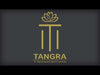 Tangra 3" Fixed Square Recessed Thin Bronze Trim Reflector Frosted glass 60° 30K CRI95 with 120V Residential Driver