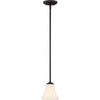 NUVO Lighting 60/6313 Fixtures Pendant