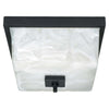 NUVO Lighting 60/001 Fixtures Ceiling Mounted-Flush