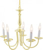 NUVO Lighting SF76/280 Fixtures Chandelier