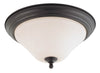 NUVO Lighting 60/1844 Fixtures Ceiling Mounted-Flush