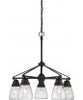 NUVO Lighting 60/5545 Fixtures Chandelier