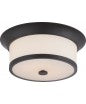 NUVO Lighting 60/5560 Fixtures Ceiling Mounted-Flush