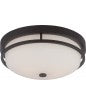 NUVO Lighting 60/5586 Fixtures Ceiling Mounted-Flush