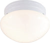 NUVO Lighting 60/6026 Fixtures Ceiling Mounted-Flush