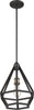 NUVO Lighting 60/6363 Fixtures Pendant