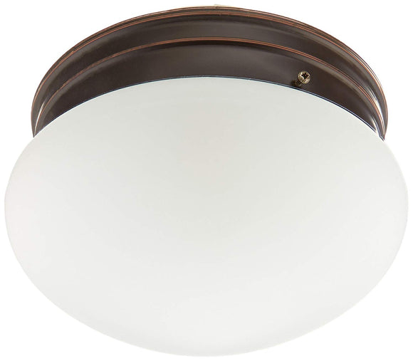 NUVO Lighting 60/2643 Fixtures Ceiling Mounted-Flush