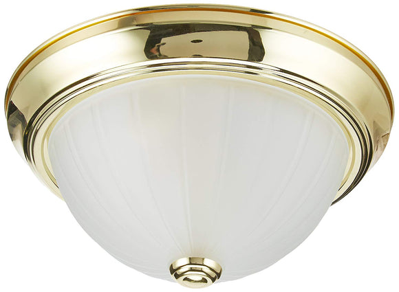 NUVO Lighting SF76/124 Fixtures Ceiling Mounted-Flush