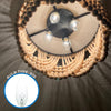 Incandescent - Chandelier - 40 Watt - 388 Lumens  - Warm White - 2700 Kelvin