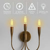 Westinghouse 5158000 Filament LED T6 Decorative Dimmable Light Bulb - 2.5 Watt - Clear - 2700 Kelvin - E12 Base