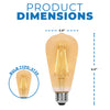 Westinghouse 3317600 Filament LED ST20 Decorative Dimmable Light Bulb - 2.5 Watt - Amber Finish - 2200 Kelvin - E26 Base