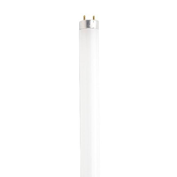 Satco S8436 Fluorescent T8