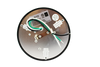 J-Box Installation - 5 Inch Slim LED Downlight Round - 10 Watt - 600 Lumens - 5000K Kelvin - 80 CRI - 50000 - Dimmable - LR23605