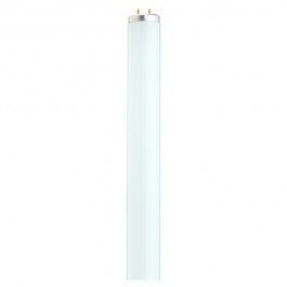 Satco S6893 Fluorescent T12