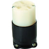 Morris Products 89617 15A 250V Straight Blade Female