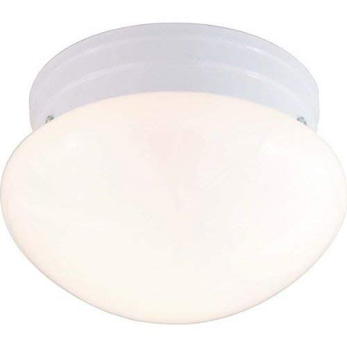 NUVO Lighting 60/403 Fixtures Ceiling Mounted-Flush