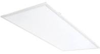 RAB Lighting EZPAN2X4-50Y/D10/E2 - 2x4 Edge Lit LED Flat Panel - With Emergency