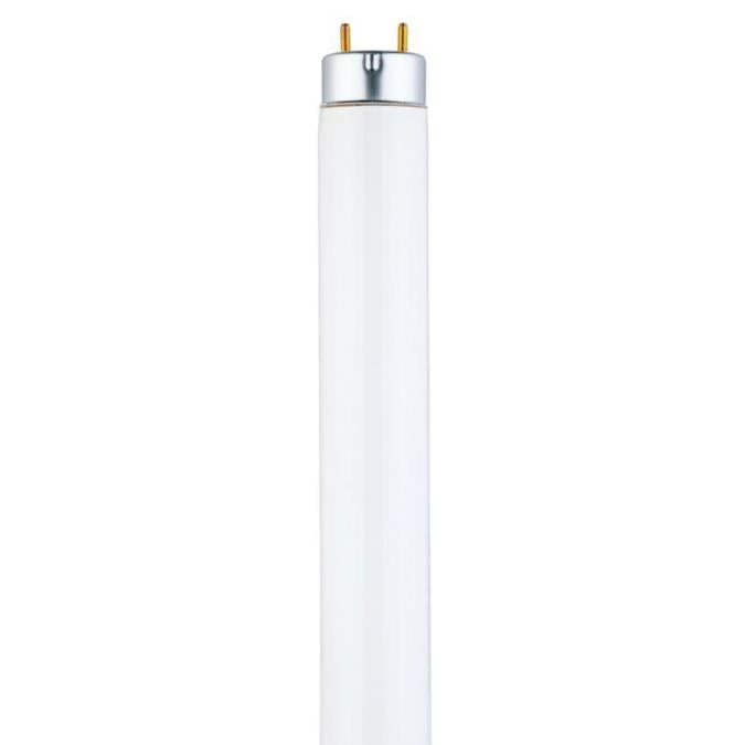 Westinghouse 0702800 32 Watt Fluorescent T8 Linear - 3500 Kelvin - Cool White - 3100 Lumens - Medium Bi Pin Base - Sleeve