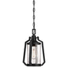 Westinghouse 6347600 One Light Pendant - Matte Brushed Gun Metal Finish - Clear Seeded Glass