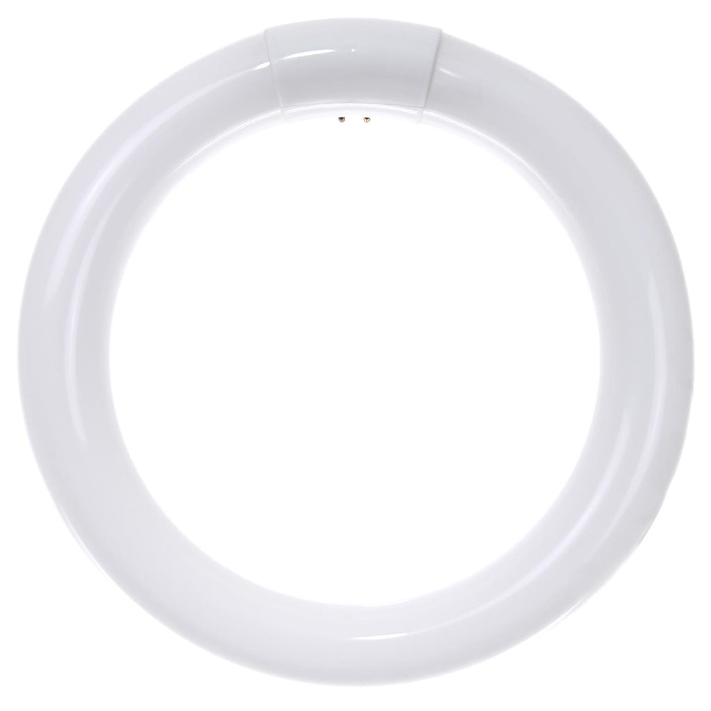 Linear Fluorescent - T9 Circline - 22 Watt - 1250 Lumens  - Cool White - 4100 Kelvin