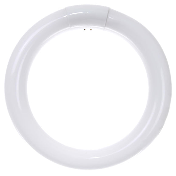Linear Fluorescent - T9 Circline - 22 Watt - 1250 Lumens  - Cool White - 4100 Kelvin