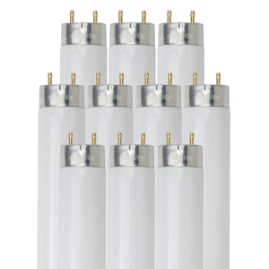 Linear Fluorescent - T8 High Performance Straight Tube - 32 Watt - 3050 Lumens  - Cool White - 4100 Kelvin